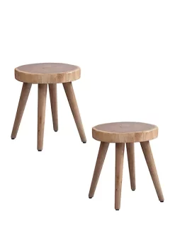 INK + IVY® Set of 2 Arcadia Dining Stool