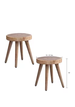 INK + IVY® Set of 2 Arcadia Dining Stool -INK + IVY Shop Belk 402